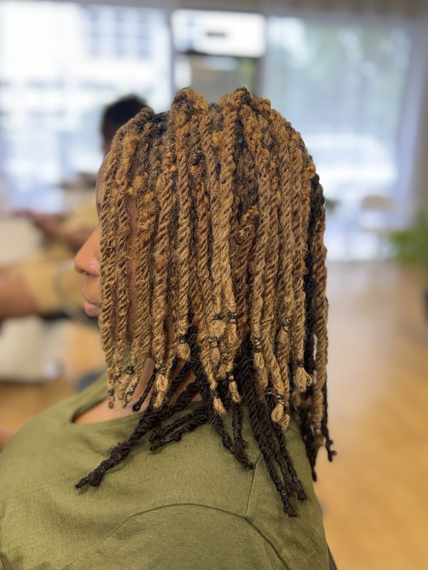 Honey blonde twists, back view