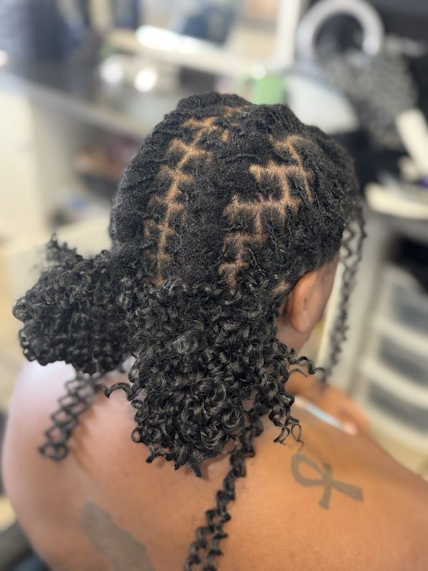 Retwist with curled ends in ponytails